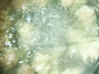 20、鲜肉云吞,锅中烧水，水开后放入云吞