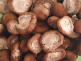 3、孜然烤香菇,香菇去蒂