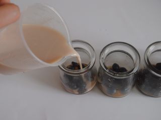 10、草莓加州葡萄干布丁, 倒入布丁液