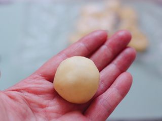 8、蜜豆华夫饼,收好口后用手滚圆。