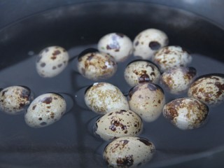 2、茄汁鹌鹑蛋,放水里煮