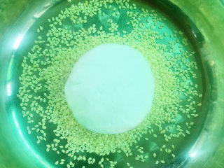 9、玫瑰豆沙糯米饼,将包好的糯米丸压成饼状，放入白芝麻中