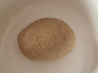 6、黑麦馒头,再揉成光滑的面团  加盖或覆盖保鲜膜 放温暖处发酵