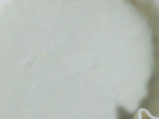 15、菠萝派,铺在派盘上