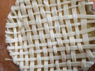 20、菠萝派,编成网格