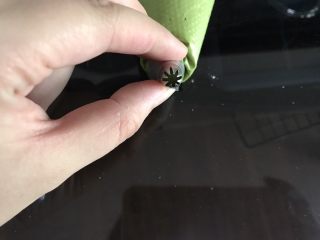 13、意式抹茶马卡龙,我用的八齿星花嘴，夹馅可以挤出花纹。也可以用圆形花嘴。