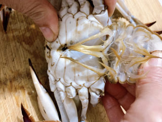 2、咖喱梭子蟹,将梭子蟹洗净,从尾部剥开,并掀起蟹壳。