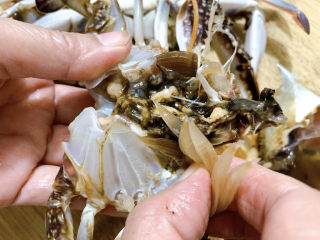 3、咖喱梭子蟹,取出腮毛、并冲洗干净。