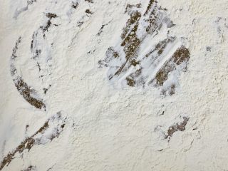 2、青花瓷冰皮月饼,手粉:糯米粉50克放入烤盘,入烤箱上下火180度烤5分钟取出翻拌均匀 在烤3分钟,取出晾凉备用。