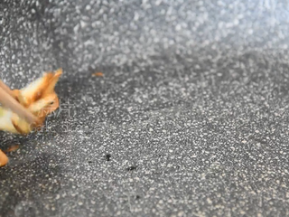 5、防抗癌明星蒜蓉西兰花，怎么样做才好吃？,起油锅蒜片炒至焦糊盛出