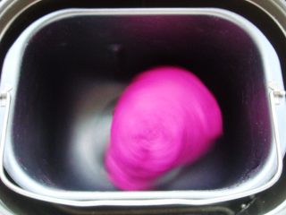 4、火龙果软欧包,启动按键开始和面，和成团就好无需纠结手套膜