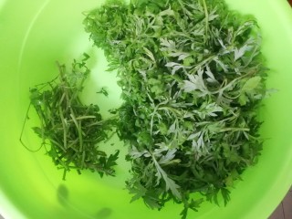 2、豆沙青团,首先把嫩艾叶摘下来，硬的梗不要