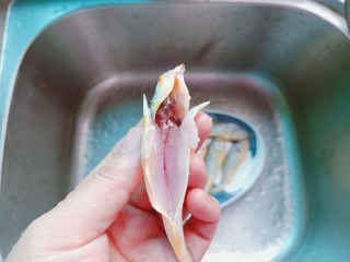 3、香辣小黄鱼,用剪刀或者小刀从鱼尾开始往上把鱼鳞刮干净。剪刀从鱼肚尾部剪开，去除不能吃的位置。