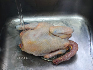 2、脆皮白切鸡,搓干净鸡身上的细毛和污垢，取出黏在鸡腹中的淤血和鸡肺，切去鸡屁股及周围的肥油，鸡头也不要，洗净沥干水