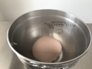 5、猪猪椰蓉小面包,面团入盆中，覆盖保鲜膜，28度发酵一个小时。