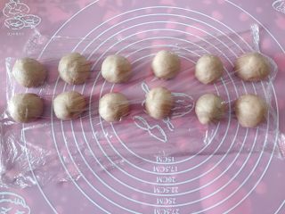 11、猪猪椰蓉小面包,面团排气后平均分成31克的12个小面团，覆盖保鲜膜松弛15分钟。
