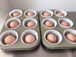 15、猪猪椰蓉小面包,把包好的面团放入模具中间。发酵箱温度35度，湿度80，发酵35分钟。