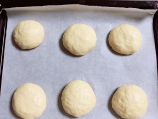 15、菠萝面包,将面团分成六等份滚圆,烤箱中进行二次发酵,发酵到1.5倍大。提前预热烤箱,180度预热10分钟。