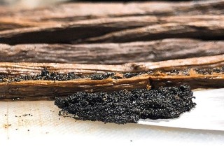 5、可露丽,第5部加入香草夹