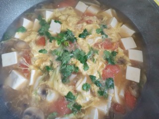 15、西红柿豆腐汤,最后撒上香菜即可出锅。