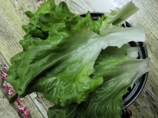 9、鲫鱼粉皮汤,烧煮过程中，把生菜，洗干净备用