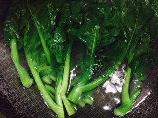 4、#咸味#万里一眼绿，白灼菜心,放一点食用油，可以保持青菜的翠绿颜色！