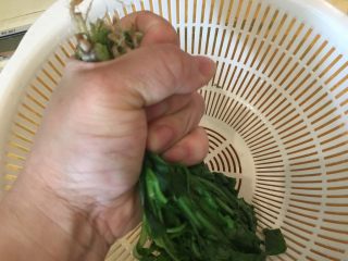 5、荠菜馄饨两吃,挤掉水分