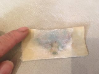 17、荠菜馄饨两吃,在折痕那边的角落沾水