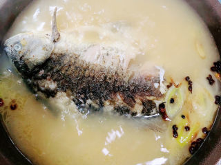 11、萝卜丝鲫鱼汤,汤已经开始变白了，将鲫鱼翻面继续炖煮。