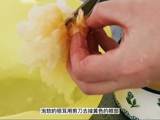 2、木瓜炖牛奶,泡软的银耳去除黄色根部