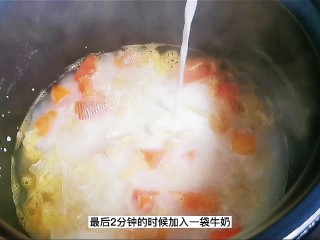 15、木瓜炖牛奶,最后2分钟加入牛奶