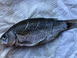 2、萝卜丝鲫鱼汤,鲫鱼清洗干净后用厨房纸巾吸干水分。