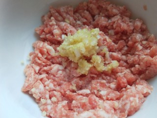 9、冬瓜肉丸汤,加入葱姜末。