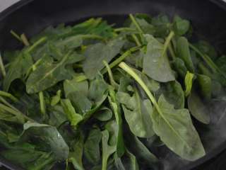 5、凉拌菠菜,水开后，放入菠菜。