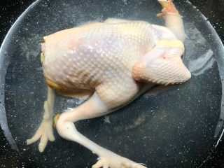 3、虫草花鸡汤,锅里放入适量水烧开，把整只鸡放入焯烫3分钟，再把鸡胗、鸡心放入焯烫1分钟焯好捞出来清洗干净待用。