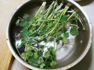 2、素毛肚,香菜清洗干净