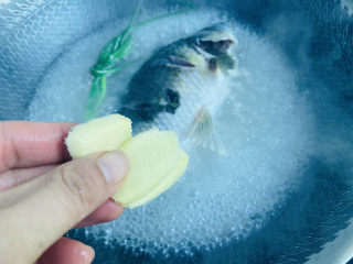 8、冬瓜鲫鱼汤,放入姜片