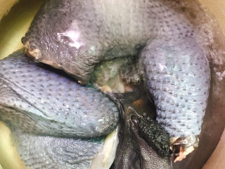 1、胡萝卜炖乌鸡汤,乌骨鸡洗干净