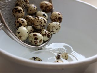 5、糟卤鹌鹑蛋,鹌鹑蛋捞出放入冷水中浸泡三四分钟,这样壳会比较好剥。