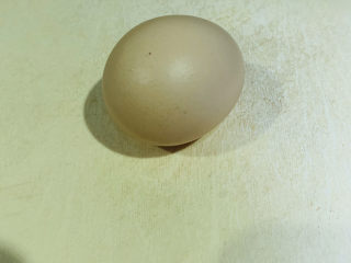 6、糖水鸡蛋,准备土鸡蛋一个；