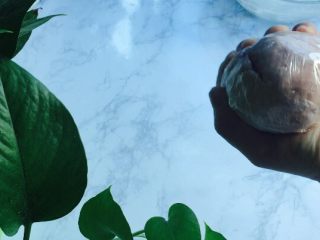 3、少女心韭菜盒子（附两种面皮）,粉色面团揉成面团，可以揉硬一点没关系，包上保鲜膜静置30分钟以上！