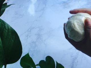 4、少女心韭菜盒子（附两种面皮）,白色面团我们也是揉成面团，包上保鲜膜静置30分钟！充分让面团吸收水分，扩张伸缩性！