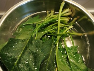 3、猪肝菠菜汤,用开水汆烫菠菜 捞出过凉