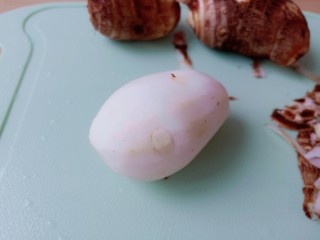 4、芋头炖排骨,毛芋带手套削皮。