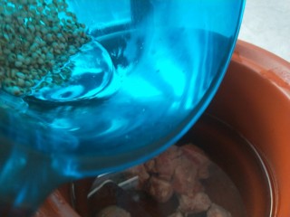 5、冬瓜薏米排骨汤,电包锅加入适量水,倒入排骨,薏米。