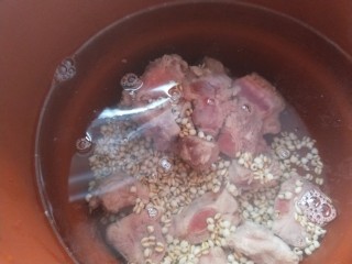 6、冬瓜薏米排骨汤,打开电源烧开。