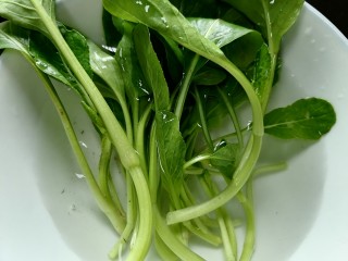 5、水煮千张,将小青菜泡水清洗干净