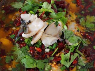 17、水煮鱼片这么烧，健康营养有颜值！全家人吃了赞不绝口！,撒上香葱和香菜碎即可，喷香扑鼻