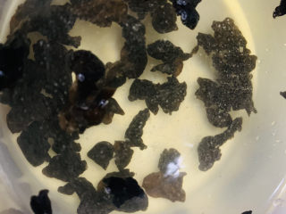 2、木耳蛋花汤,将干木耳用清水浸泡