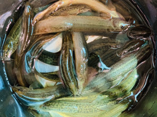 2、泥鳅炖豆腐,沥水，放碗里；